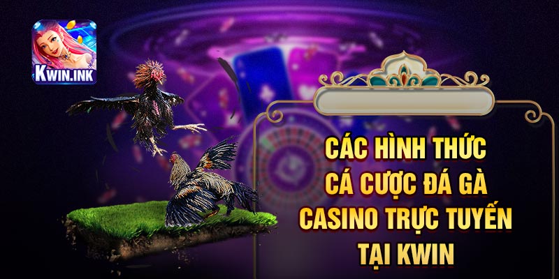 Các hình thức cá cược đá gà casino trực tuyến tại kwin